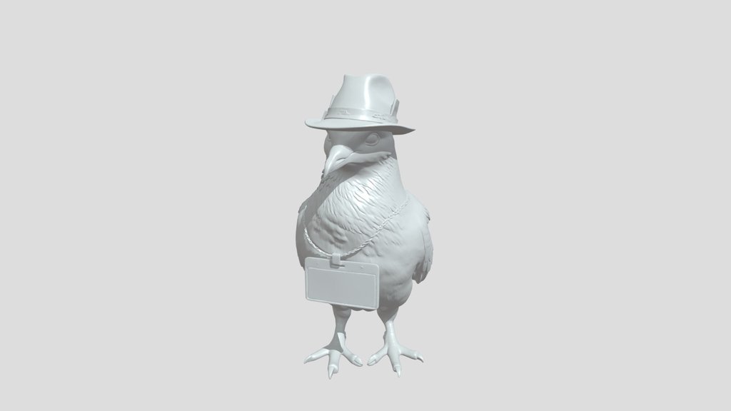 Journalist pigeon