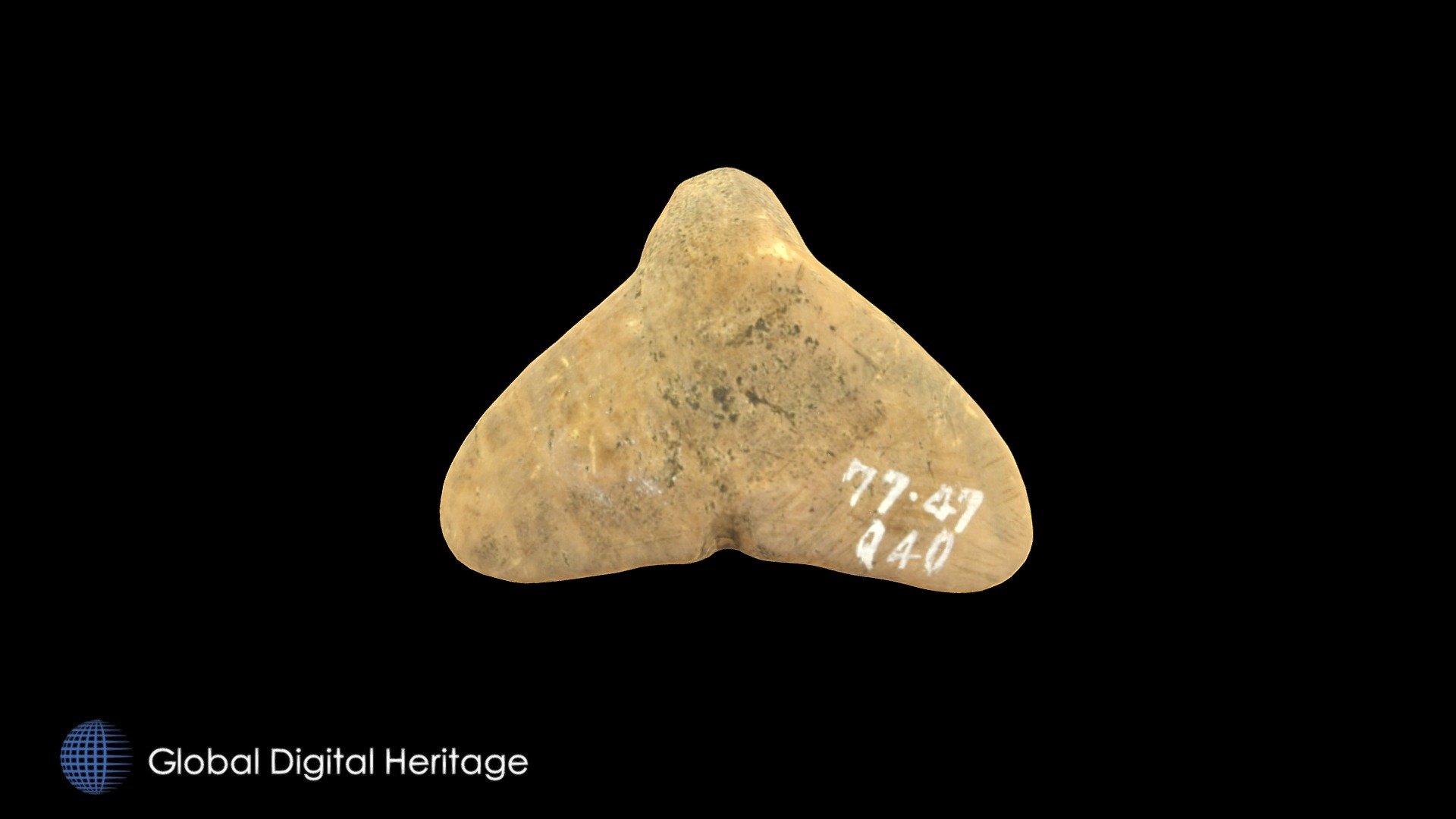 77-47-Q40 Bone Whale Tail-Hot Springs Village AK