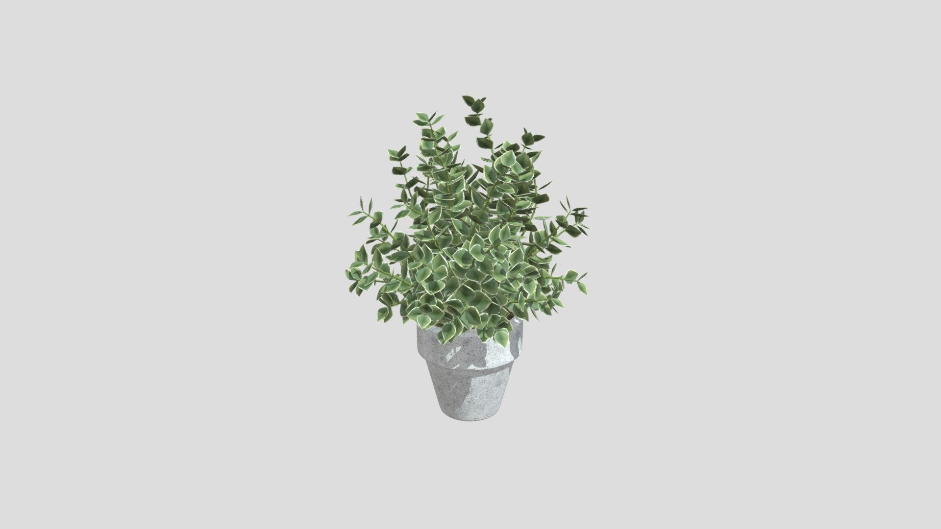 Decorative Green Shrub - Download Free 3D model by neomitice1982 ...