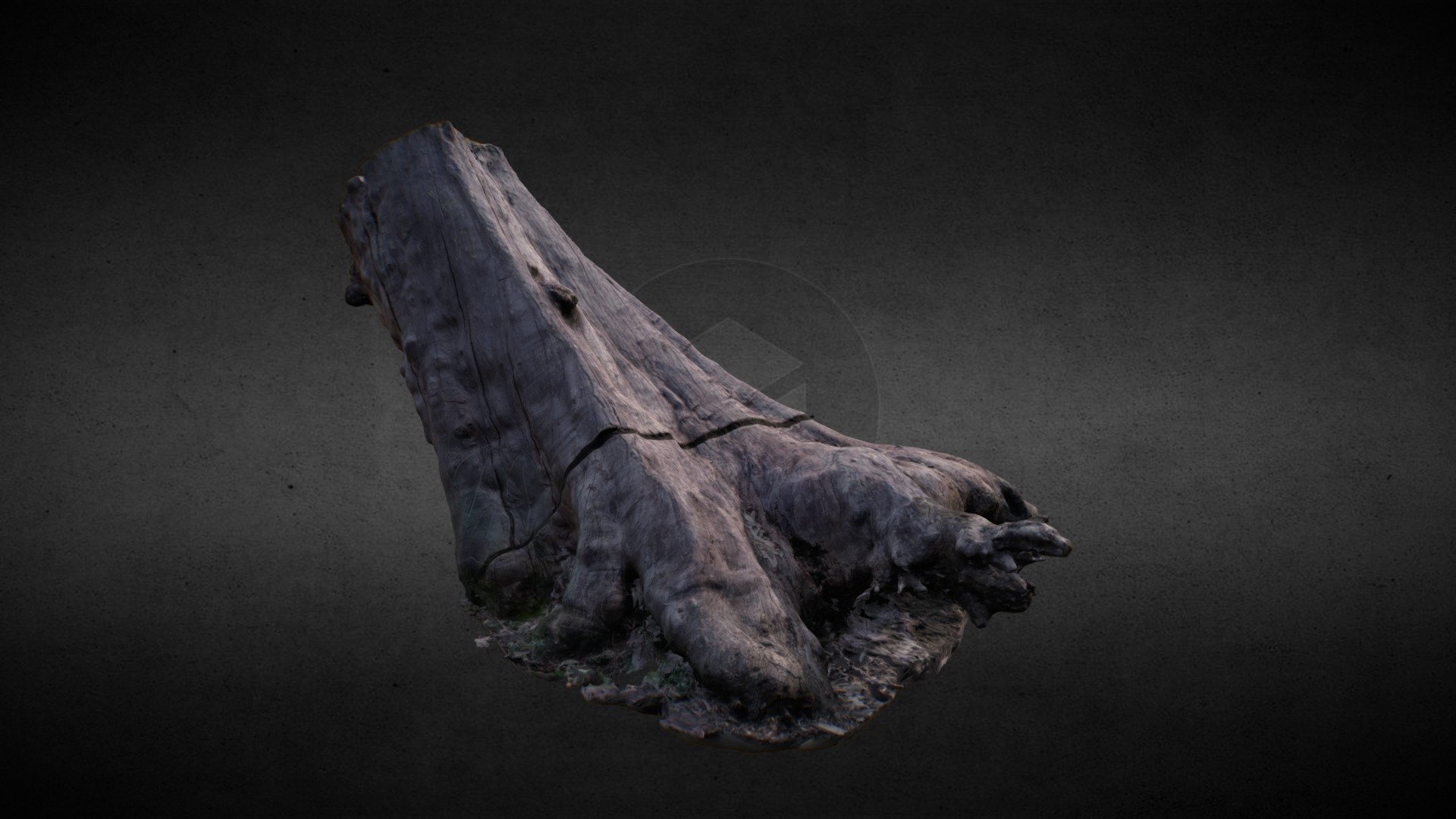 Tree stump