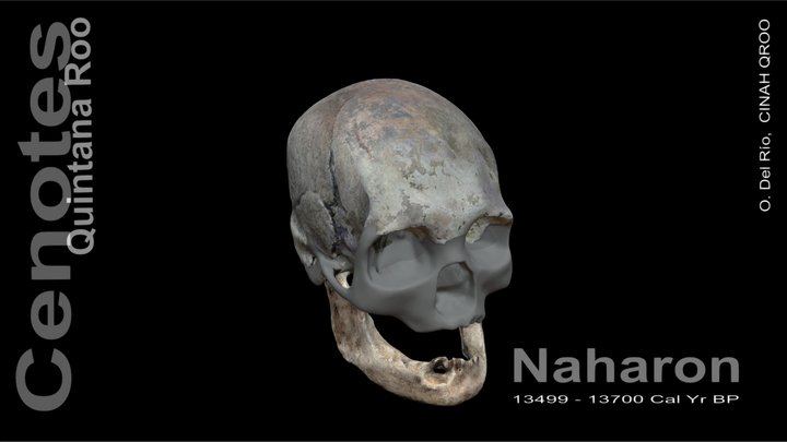 Craneo Naharon 3D Model