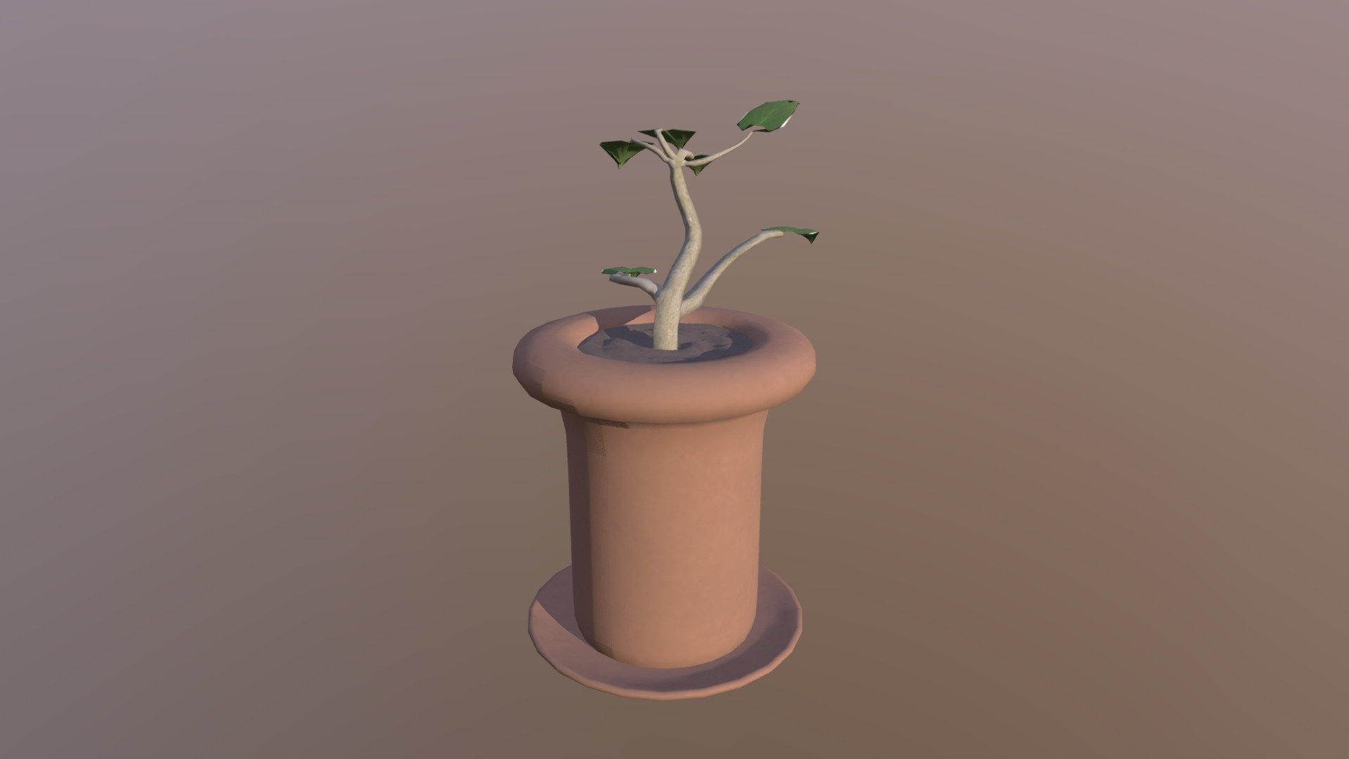 Plant Model