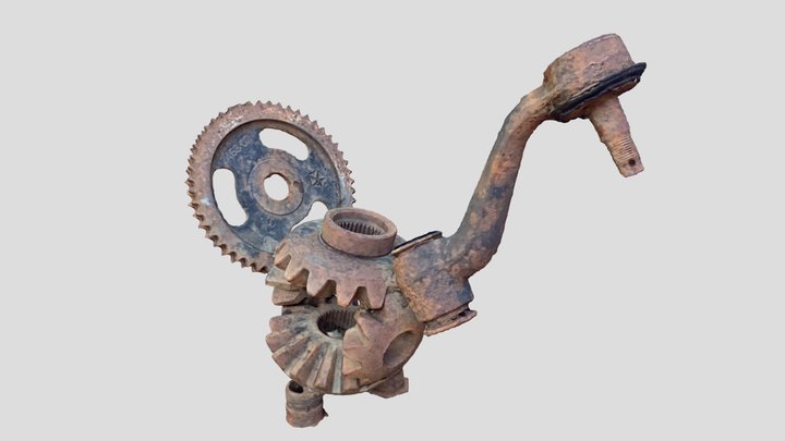 Dinosaur Turkey (Scan two) 3D Model