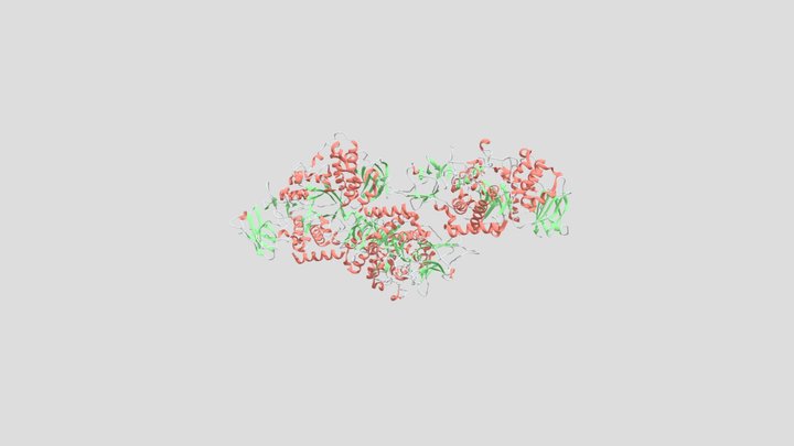 Human glycogen branching enzyme (4BZY) 3D Model