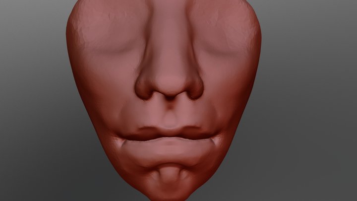 Jan 1 3D Model