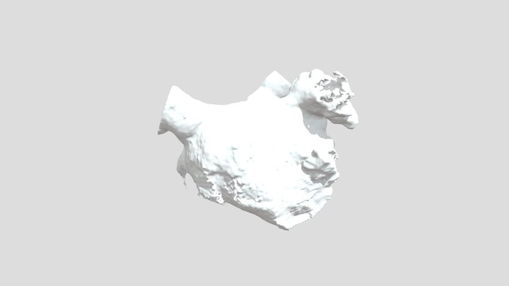 LA_ Kuzo 3D Model