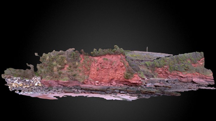 Hollicombe Northern Cliff 3D Model