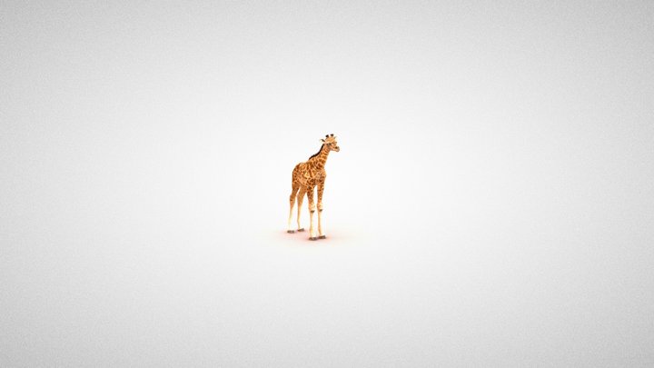 Giraffe_Young2 3D Model
