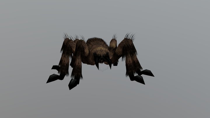 Slendrina's Tarantula