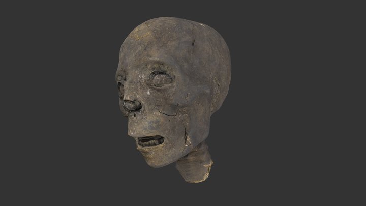 Scanned Ancient Mummy Head /Skull_02/ 3D Model