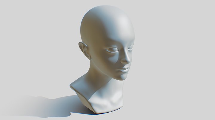 Female Head Sculpt 3D Model