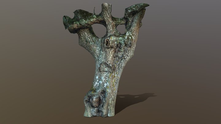 Pear tree Normandy low poly 3D Model