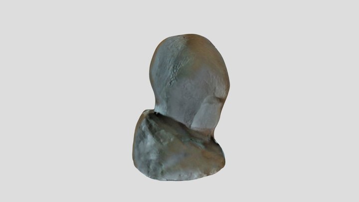 HEAD 3 3D Model