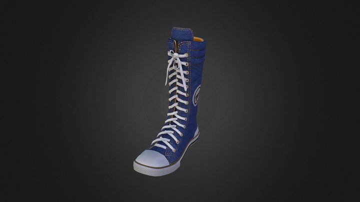 HiTops 3D Model