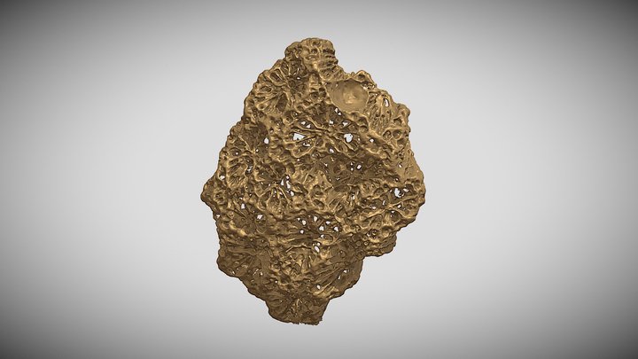 Complex Coral 3D Scan! – Free 3D Model STL