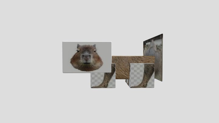 capybara 3D Model