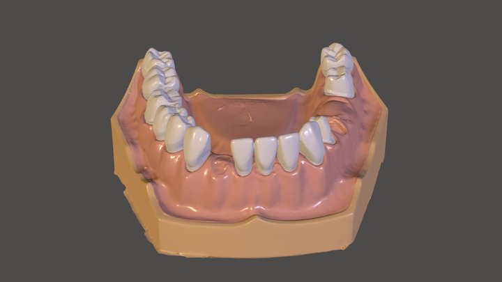 mandible v2 3D Model