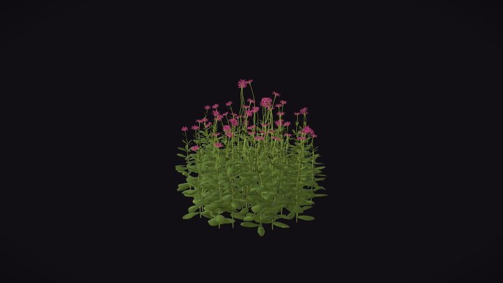 Garden Flower - vegetation 3D Model
