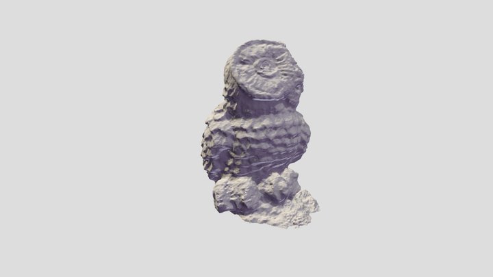 Owl 3D Model