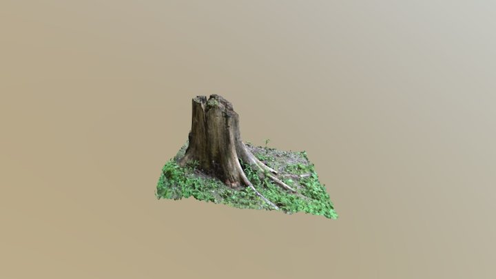 Stump 4 3D Model