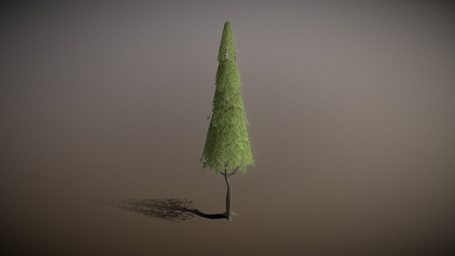 Tree03