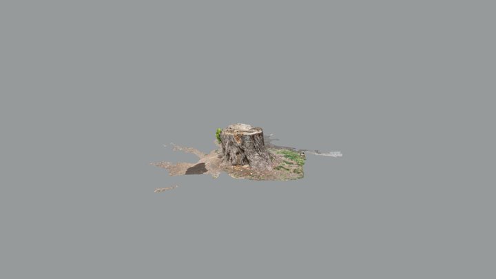 Another tree stump 3D Model