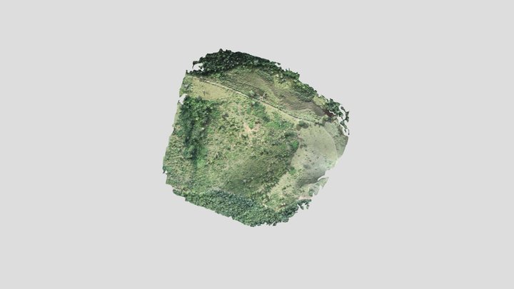 43-E3 Novo Cruzeiro 3D Model