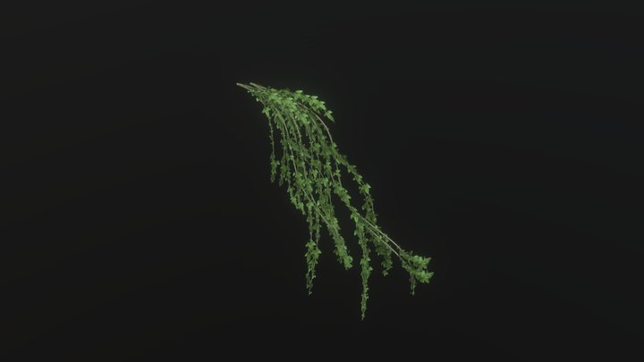 ツル 3D Model