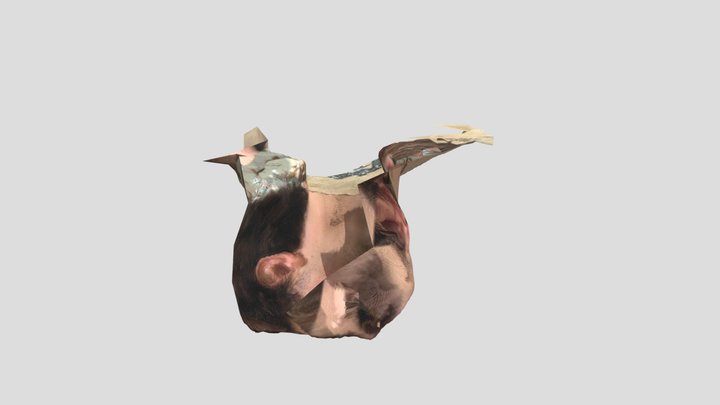 Plasticface,meh 3D Model