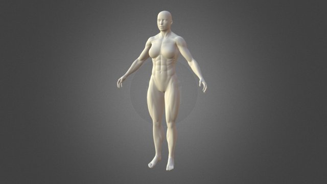 Female Bodybuilder Shaded 3D Model
