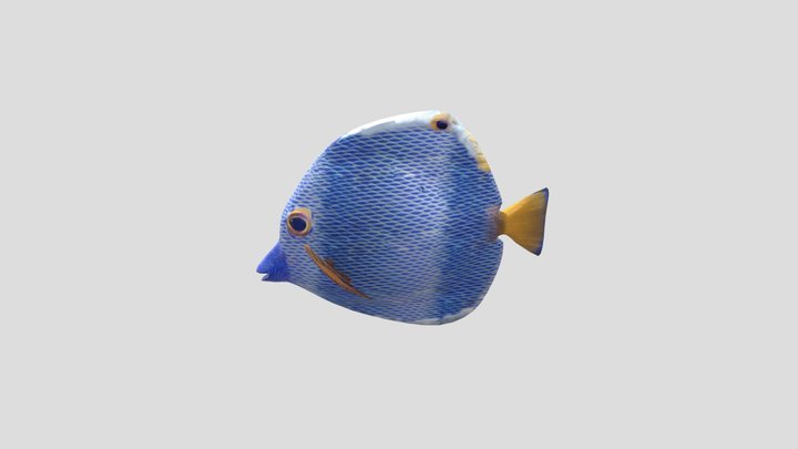 Here fishy fishy 3D Model