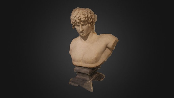 Antinoos Bust 3D Model