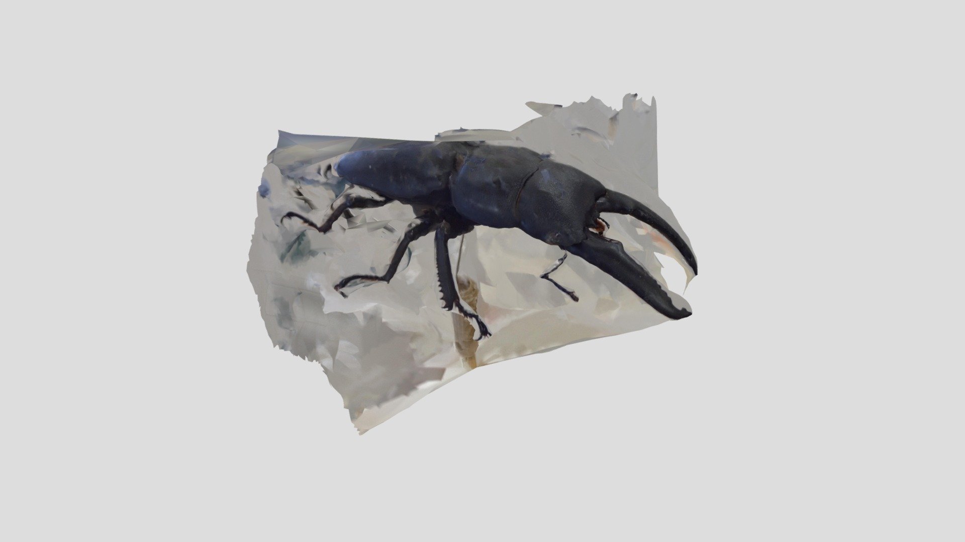 クワガタ - Download Free 3D model by QOU 子供の作品 Works by Kids