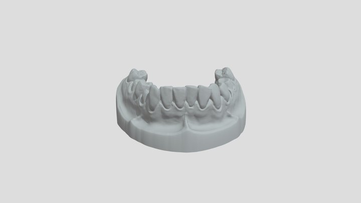 Work_Site_UnsectionedModel_L 3D Model
