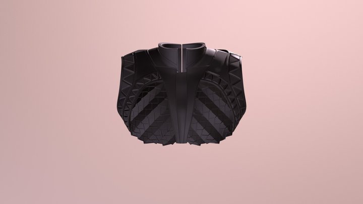 Collar V1 Test 3D Model