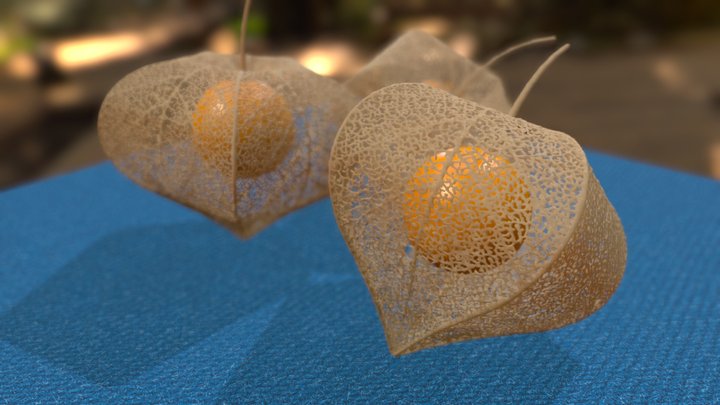 Peruviana 3D Model
