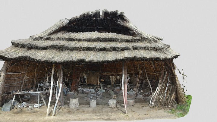 The Hut of the Stone Age Hunter 3D Model