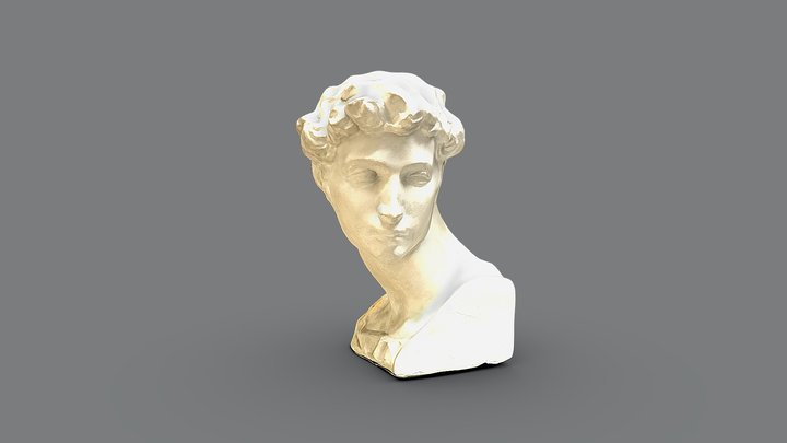 GIULIANO MEDICI BUSTO 3D Model