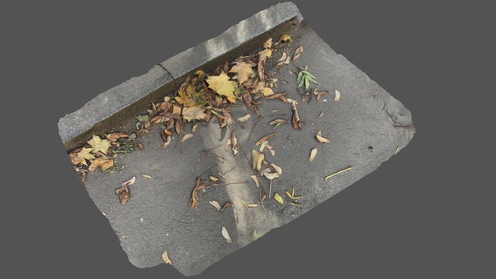 Leaves – Modello 3D gratuito STL