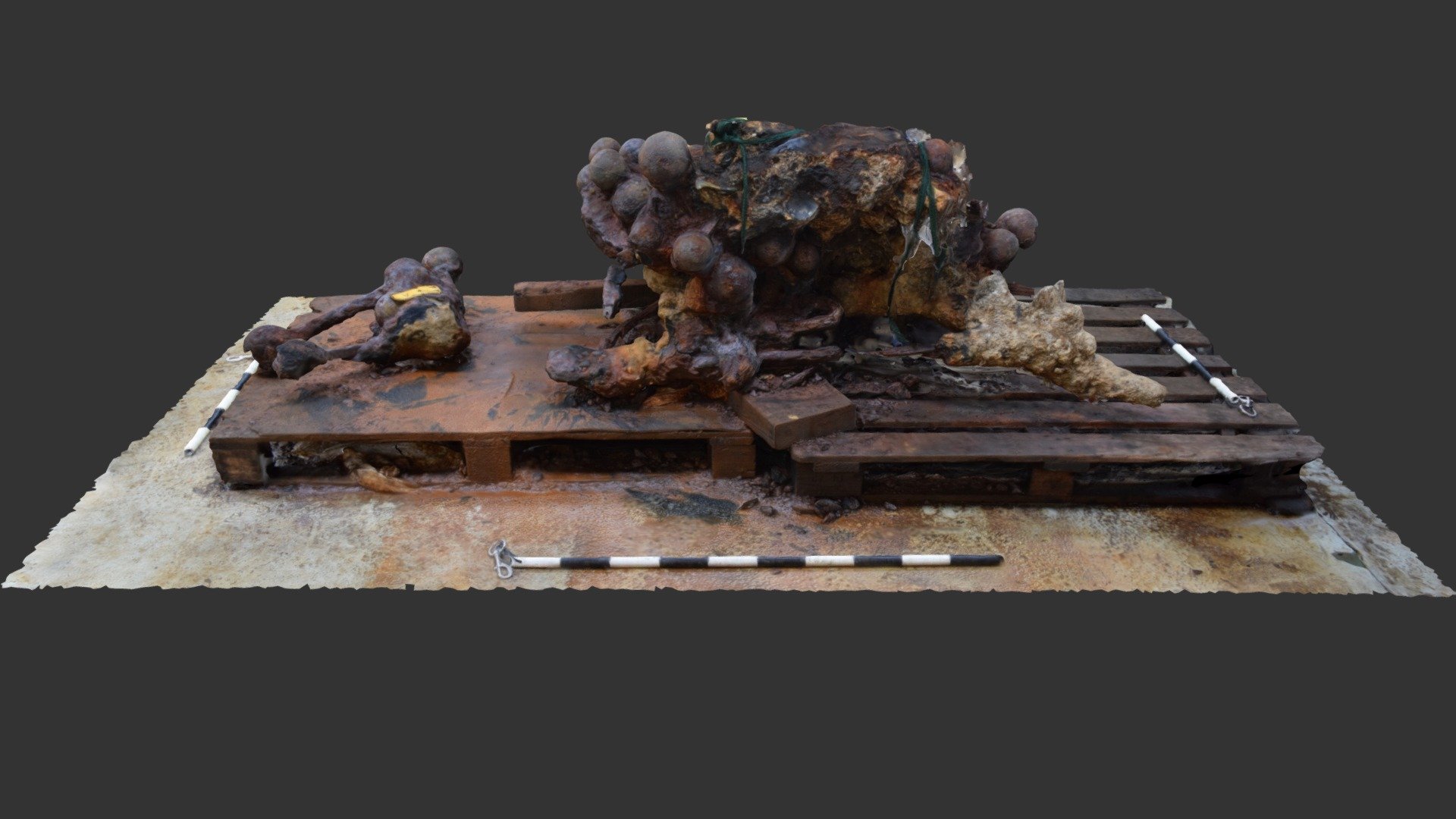 RK17 F00001 Concretion Stage 7