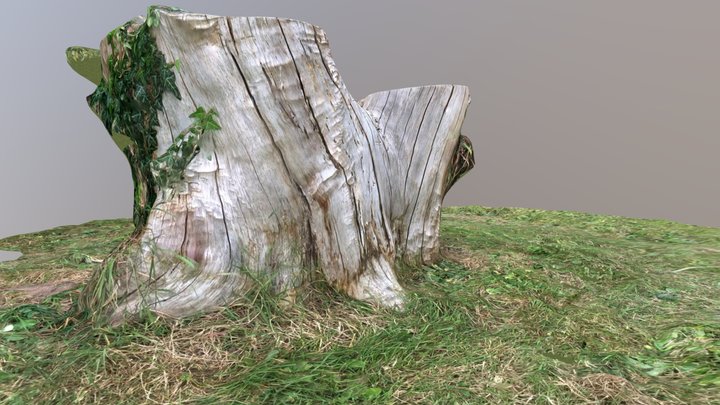 tree stump docking church 3D Model