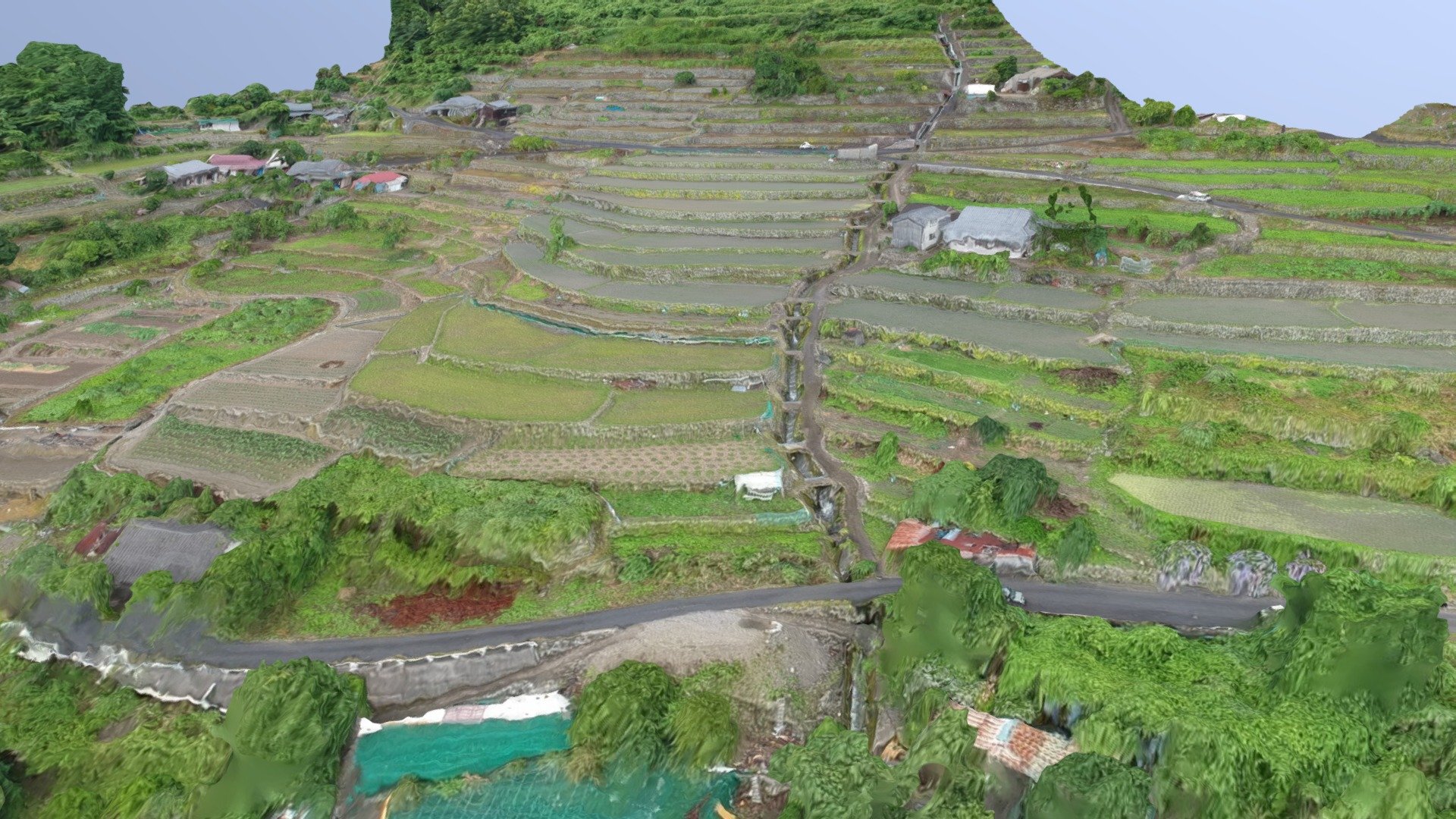 Senjyo Rice Terraces