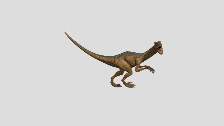 Velociraptor 3D Model