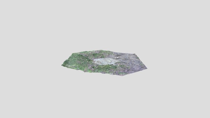 Hole Of Man 3D Model