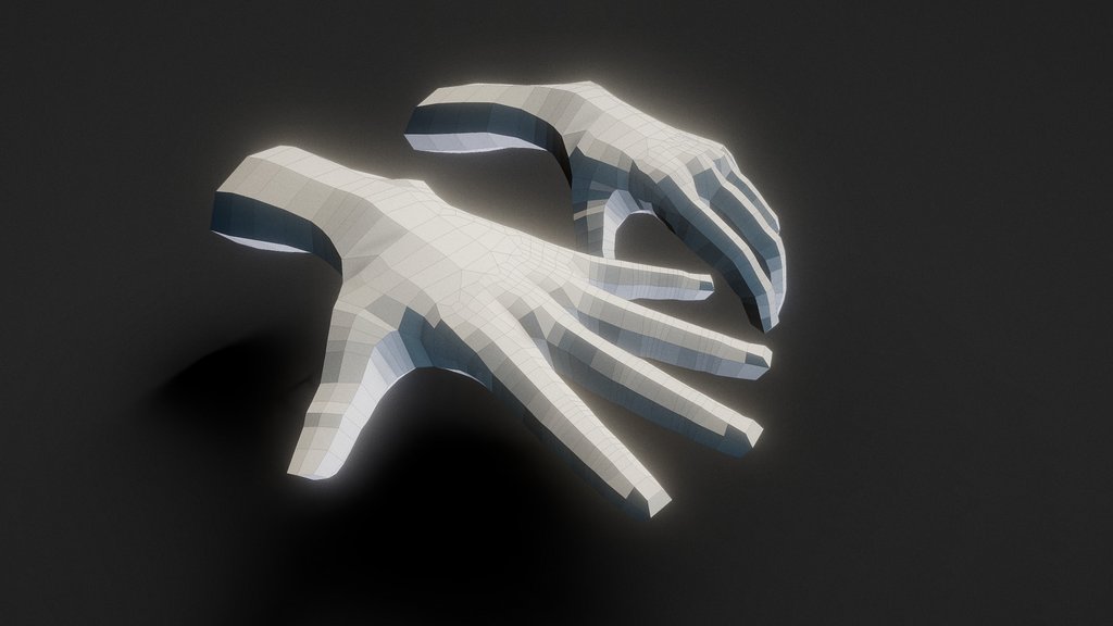 Hand Topology Technical Demonstration