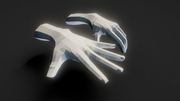 Hand Topology Technical Demonstration 3D Model
