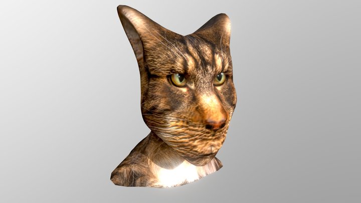 Cat man 3D Model