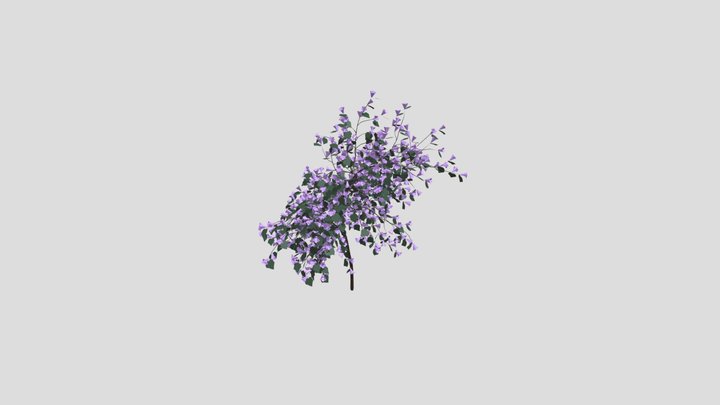 Blender紫花泡桐(Paulownia Tomentosa) 3D Model