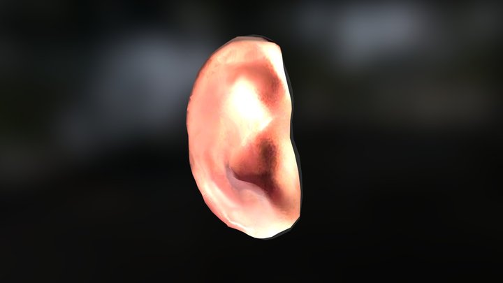 Ear Repair 3D Model