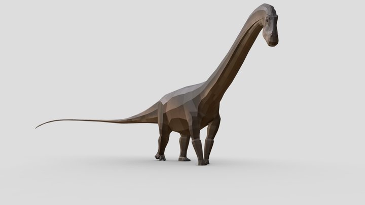 Diplodocus 3D Model